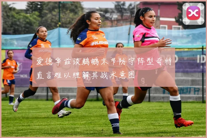 爱德华兹谈鹈鹕末节防守阵型奇特直言难以理解其战术意图