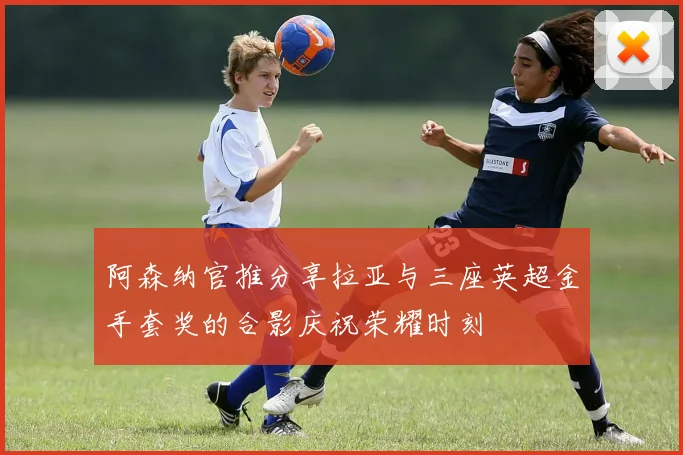 阿森纳官推分享拉亚与三座英超金手套奖的合影庆祝荣耀时刻